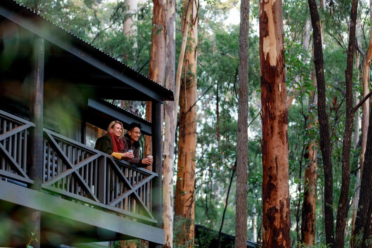 RAC Karri Valley Resort Pemberton Esterno foto