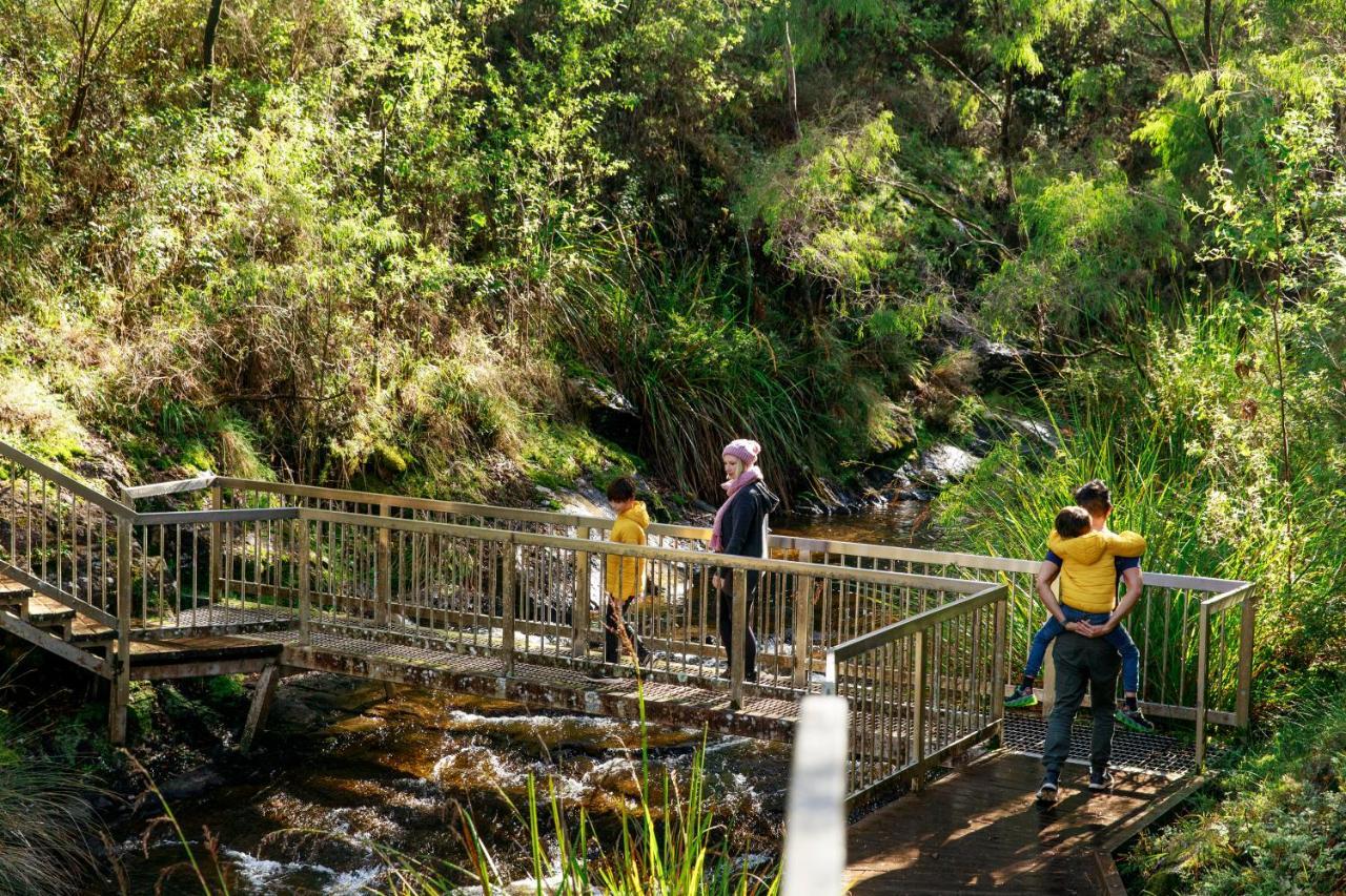 RAC Karri Valley Resort Pemberton Esterno foto